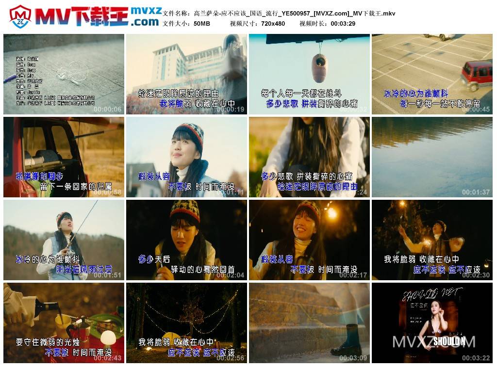 高兰萨朵-应不应该_国语_流行_YE500957